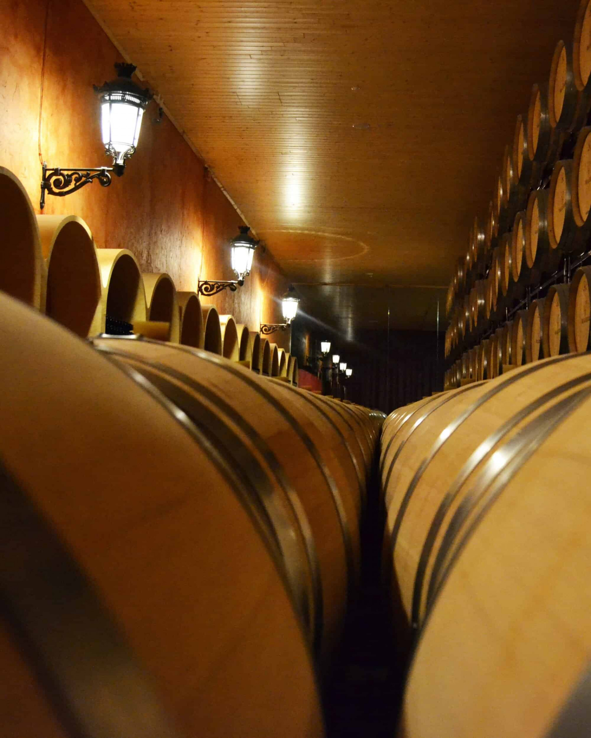 Bodega con barriles de vino de Finca La Estacada 